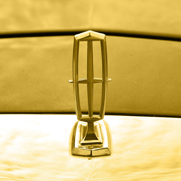 Wynajem limuzyn do ślubu Radom - VIP - GWIAZDA